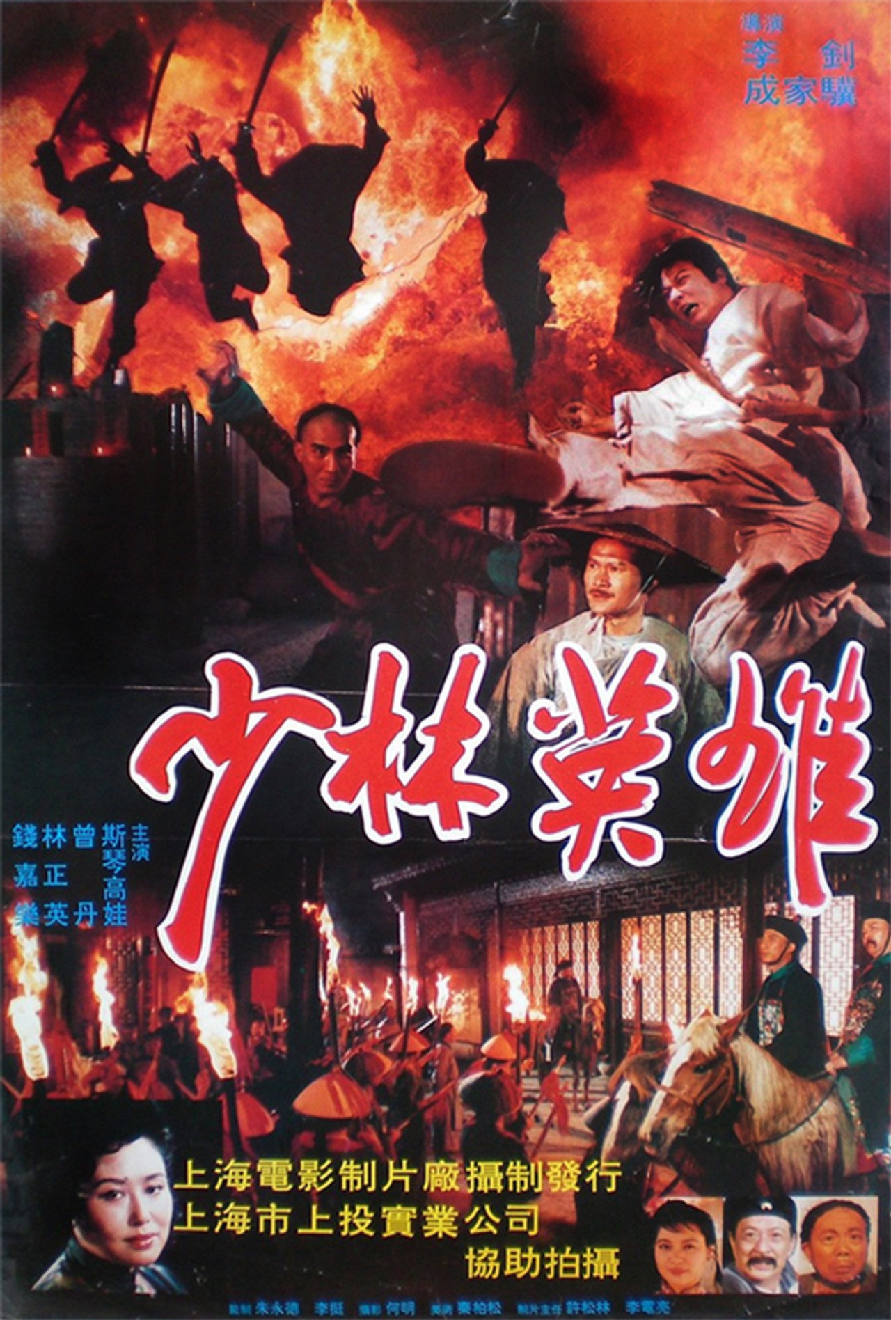 Kung Fu Kid afişi