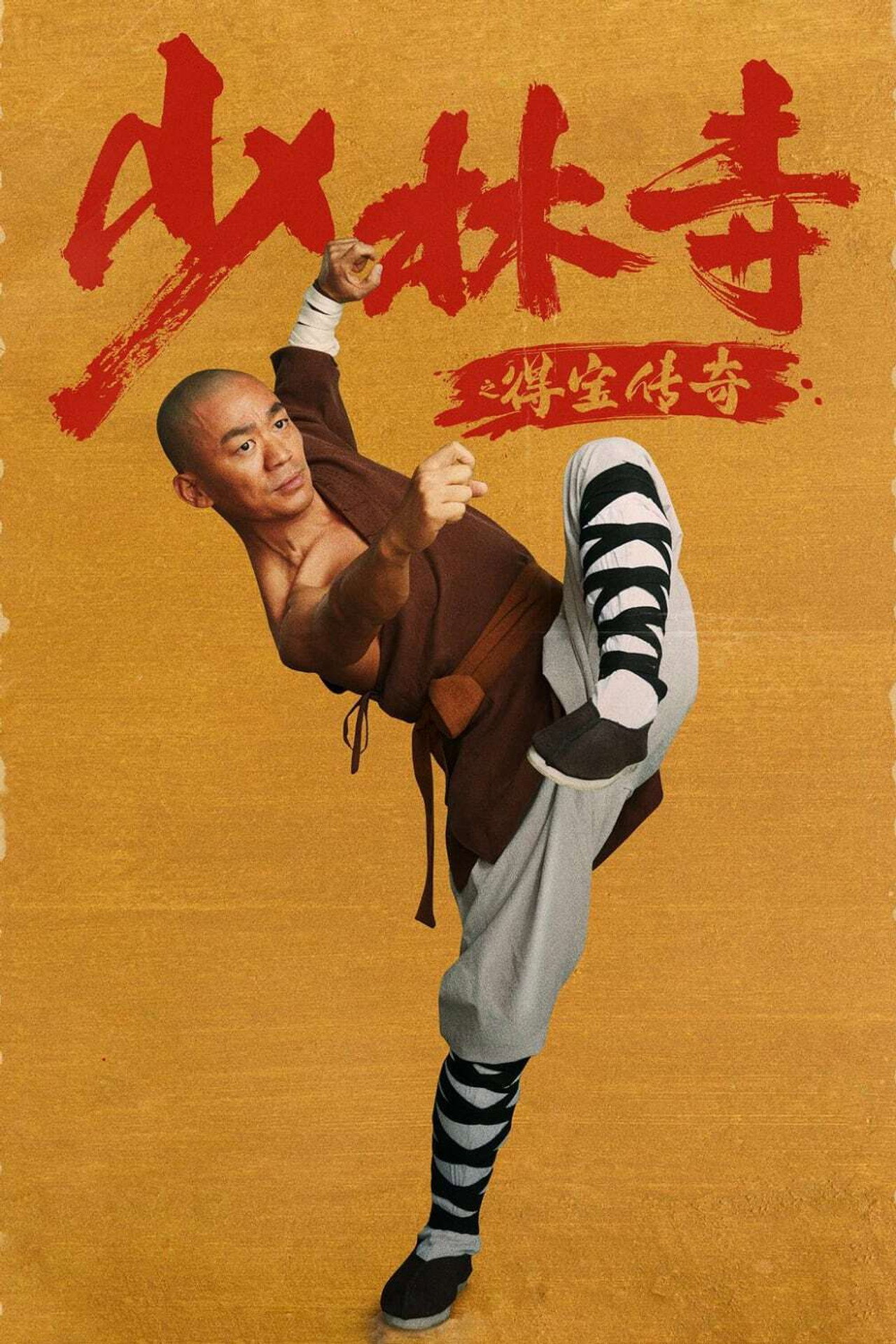 Rising Shaolin: The Protector afişi