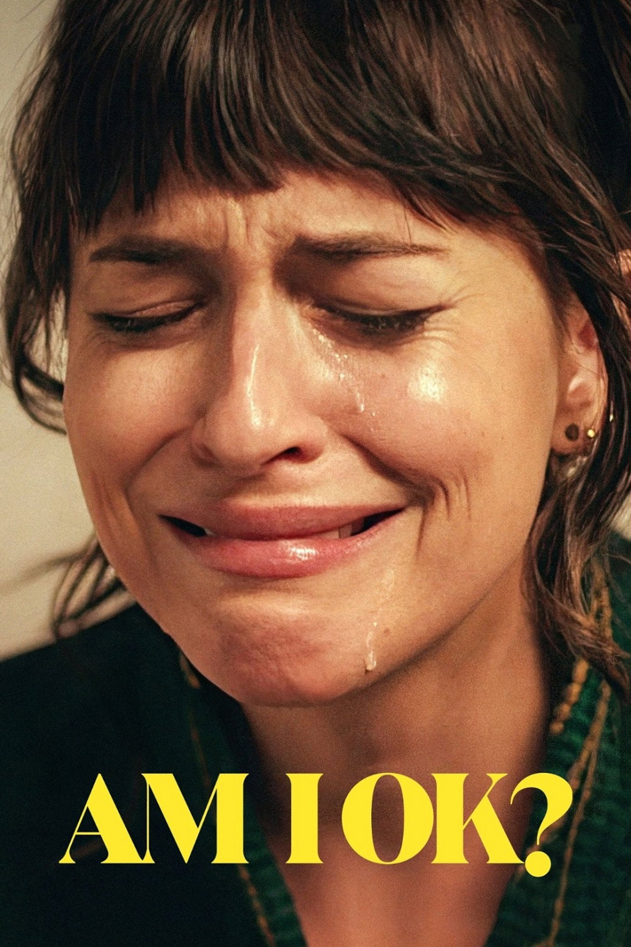 Am I OK? afişi